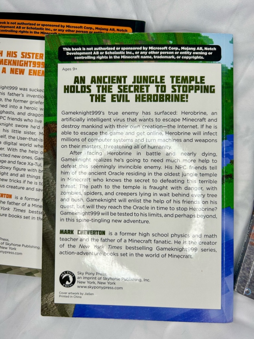 Minecraft Chapter Book Triology Set - Picture 4 of 6
